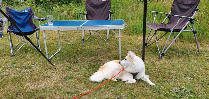 Ist das ein...?-Beitrag-Bild