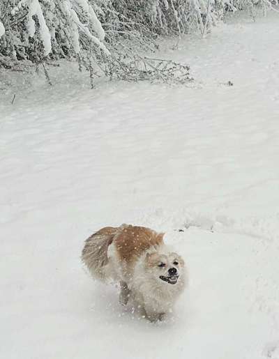 Foto-Challenge Nr. 90: Lebensfreude-Beitrag-Bild