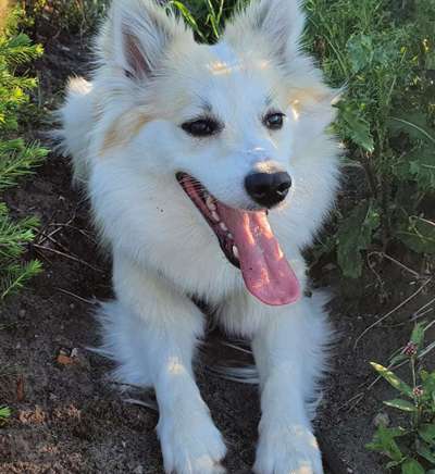 Handyfoto challenge Nr. 13: Waschlappen raus!-Beitrag-Bild