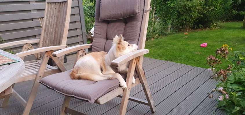 FOTOCHALLENGE 86-Beitrag-Bild