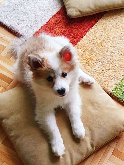 Fotochallange Nummer 5-Beitrag-Bild