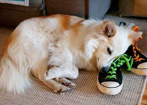 Foto Challenge Nr. 134-Beitrag-Bild