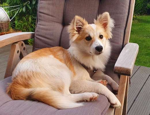 Lieblingsbild :D-Beitrag-Bild