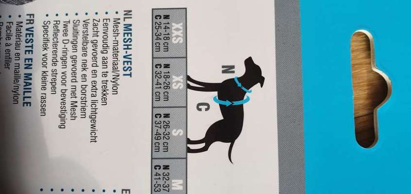 Richtige Hundegeschirr?-Beitrag-Bild