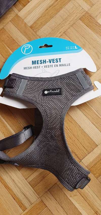 Richtige Hundegeschirr?-Beitrag-Bild