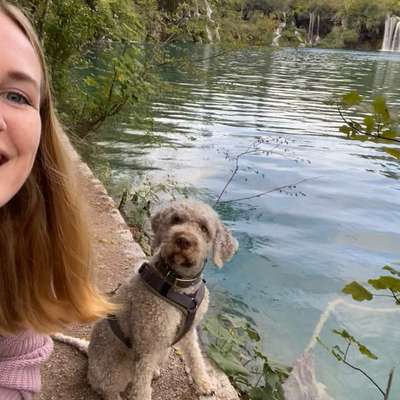 Hundetreffen-Social Walk-Bild