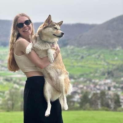 Hundetreffen-Gassi treffen-Profilbild