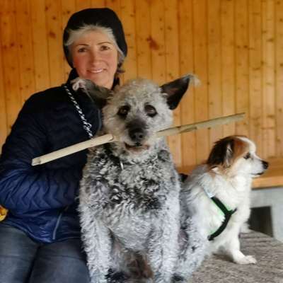 Hundetreffen-Sportliche Wanderung 5 bis10 km ca 1mal in der Woche...