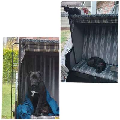 Fotowettbewerb zum Thema "Sonne"-Beitrag-Bild