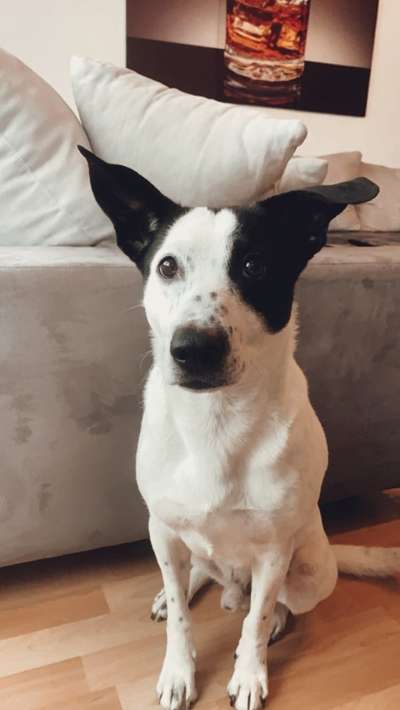 Fotochallange Nr. 57     PORTRÄT.   Beendet!!!!!!!!-Beitrag-Bild