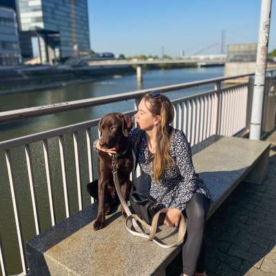 Hundetreffen-Gemeinsamer Spaziergang-Profilbild