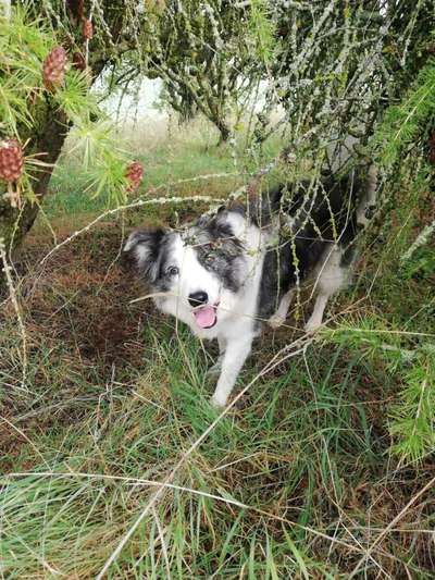 Veteranenzone - Koffer packen für fortgeschrittene-Beitrag-Bild