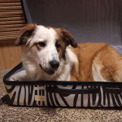 aktuelles Foto Gruppe Trickkiste