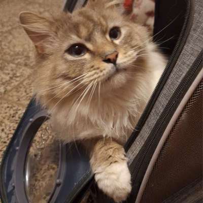 aktuelles Foto Gruppe Trickkiste