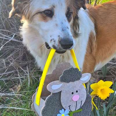 aktuelles Foto Gruppe Trickkiste