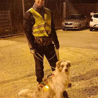 Hundetreffen-Mantrailing-Bild