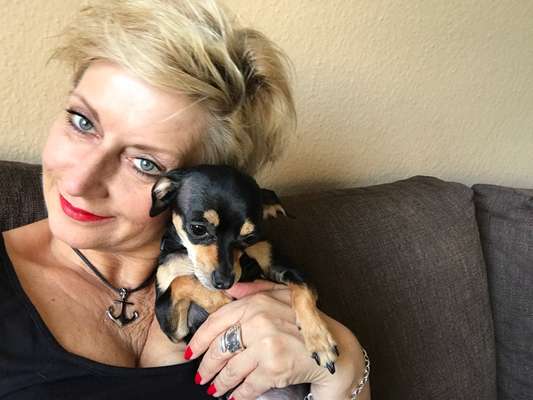 Wo sind die Zwergpinscher?-Beitrag-Bild