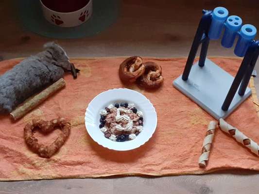 Wo sind die Golden Retriever Liebhaber?-Beitrag-Bild