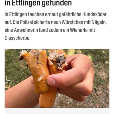 Giftköder-Giftköder-Bild