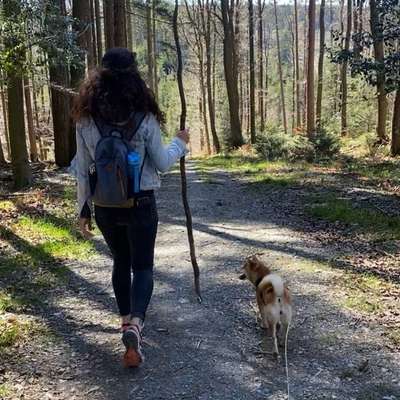 %{de_profession_title}-Dogwalking / Gassi Service-Bild