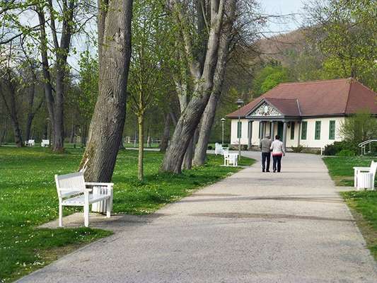 Hundeauslaufgebiet-Goethepark (Kurpark)-Bild
