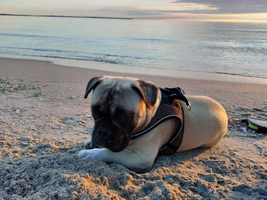 Sonnenaufgänge oder - untergänge-Beitrag-Bild