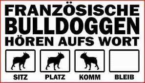 Französische Bulldoggen-Beitrag-Bild