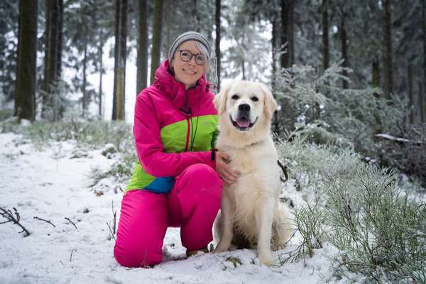 Reinrassige Hunde?-Beitrag-Bild