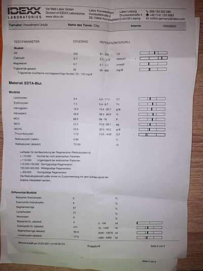 Medizinnische-Beitrag-Bild