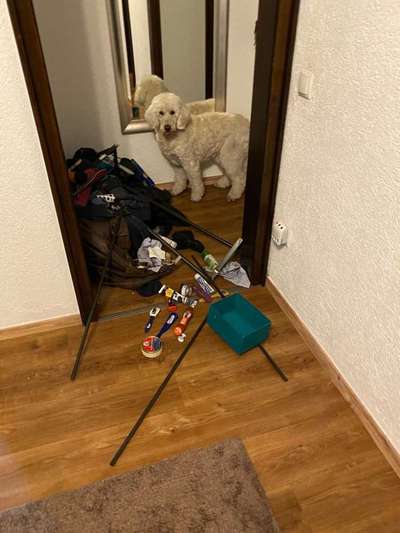 Wirklich Demenz?-Beitrag-Bild