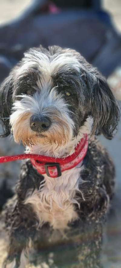 Zeigt eure Portraits-Beitrag-Bild