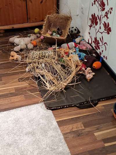 Wirklich Demenz?-Beitrag-Bild