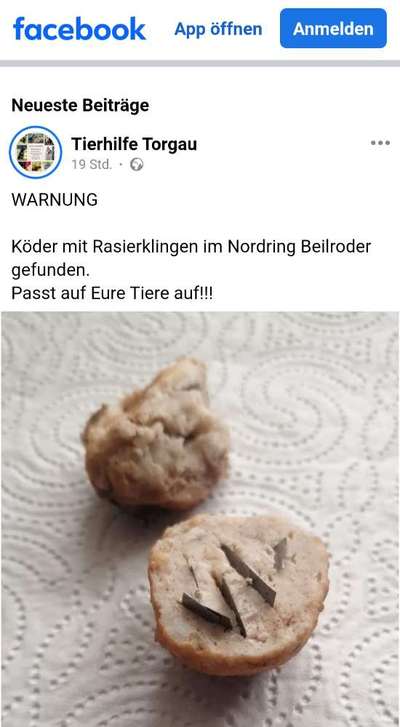 Giftköder-Achtung! Gefahr! Rasierklingen!-Bild