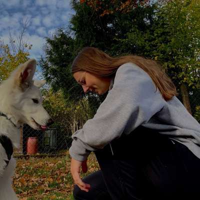 Hundetreffen-Walkies und/oder Play-Dates 🐾🐶-Bild