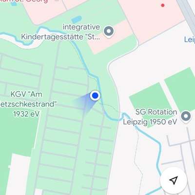 Giftköder-Toter Fuchs-Bild