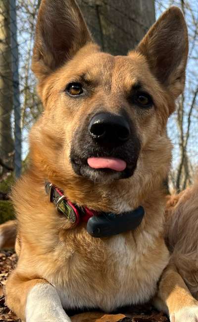 Tongue Out Tuesday-Beitrag-Bild