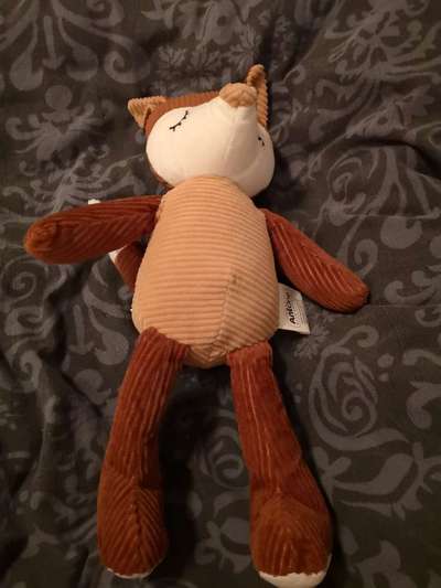 Kauspielzeug-Beitrag-Bild