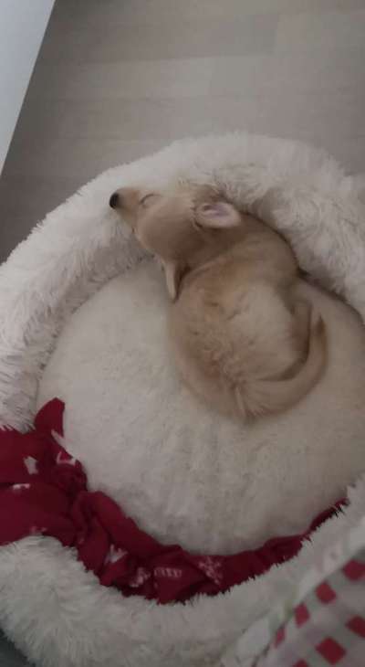 Die unbequemsten und lustigsten Schlafpositionen-Beitrag-Bild