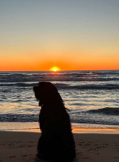 18. Farben Fotochallenge: Sonnenuntergang-Beitrag-Bild