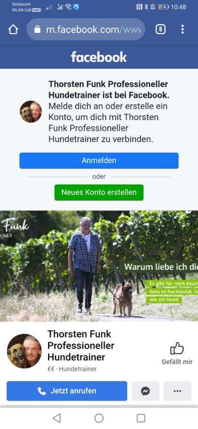 Welpe greift andere Hunde an?-Beitrag-Bild