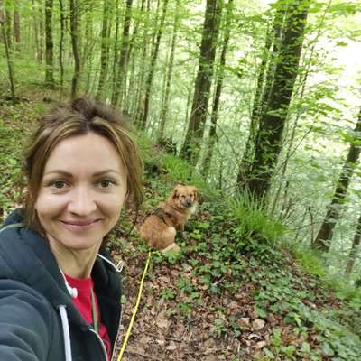 Hundetreffen-Gassirunde-Profilbild