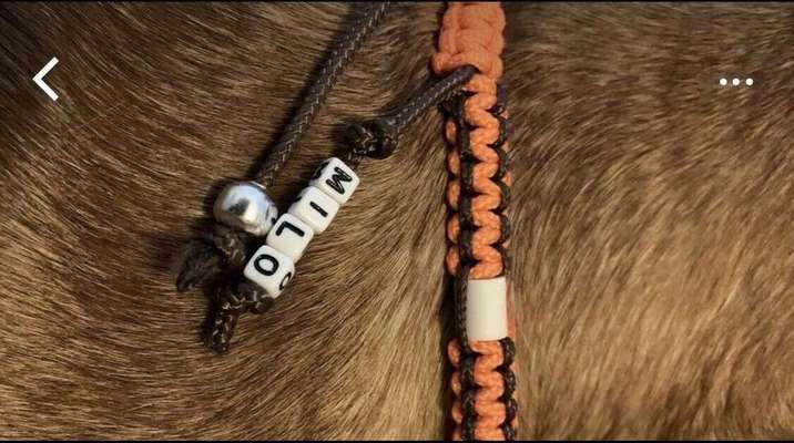 Paracord-EM-Pipe-Halsbänder-Beitrag-Bild