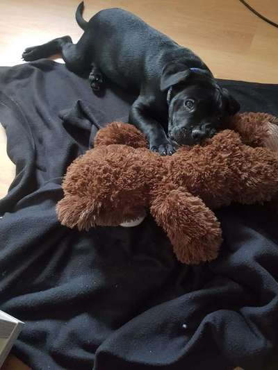 Das erste Foto-Beitrag-Bild