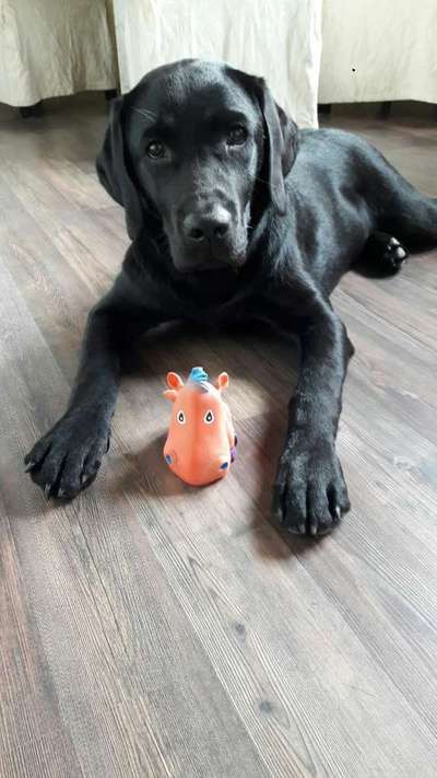 Foto Challenge die Vierte-Beitrag-Bild