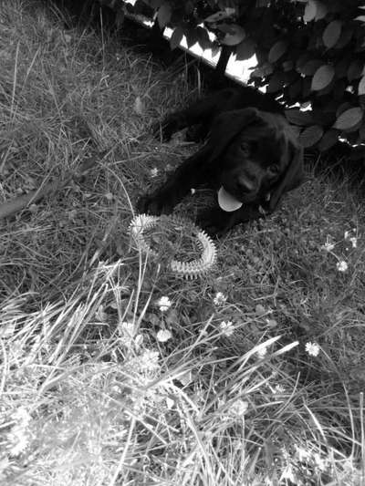 Foto Challenge 3-Beitrag-Bild