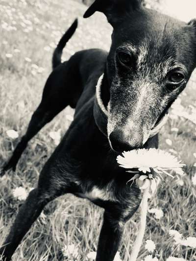 3. Farben/Fotochallenge: Schwarz/Weiß-Beitrag-Bild