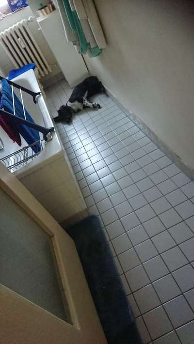 Die unbequemsten und lustigsten Schlafpositionen-Beitrag-Bild