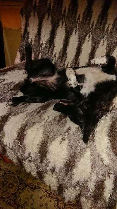 Schlafposition-Beitrag-Bild