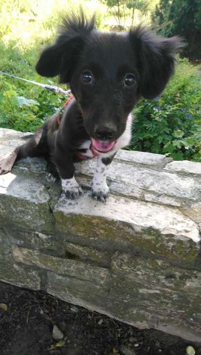 Das erste Foto-Beitrag-Bild