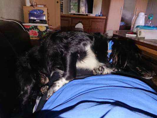 Schlafposition-Beitrag-Bild